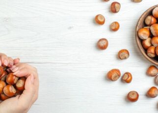 Beneficios y propiedades del castaño de indias