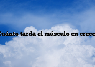 Cuánto tarda el músculo en crecer