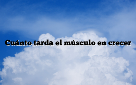 Cuánto tarda el músculo en crecer