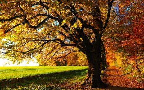 equinoccio de otoño
