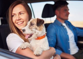 viajar con perros