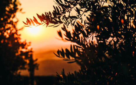 Naturaleza